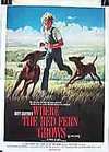 风雨夺标Where the Red Fern Grows