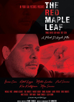 红色枫叶The Red Maple Leaf