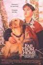 远离家乡：小黄狗历险记Far from Home: The Adventures of Yellow Dog