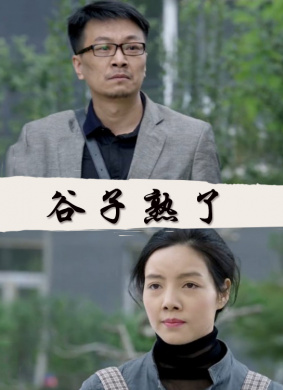 谷子熟了